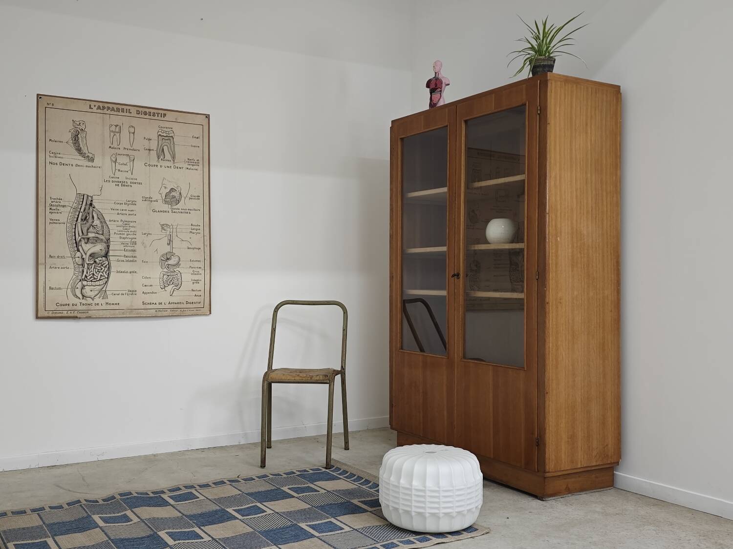 Oak glass-fronted school cabinet 1960