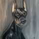 Royal Doberman Oil Painting