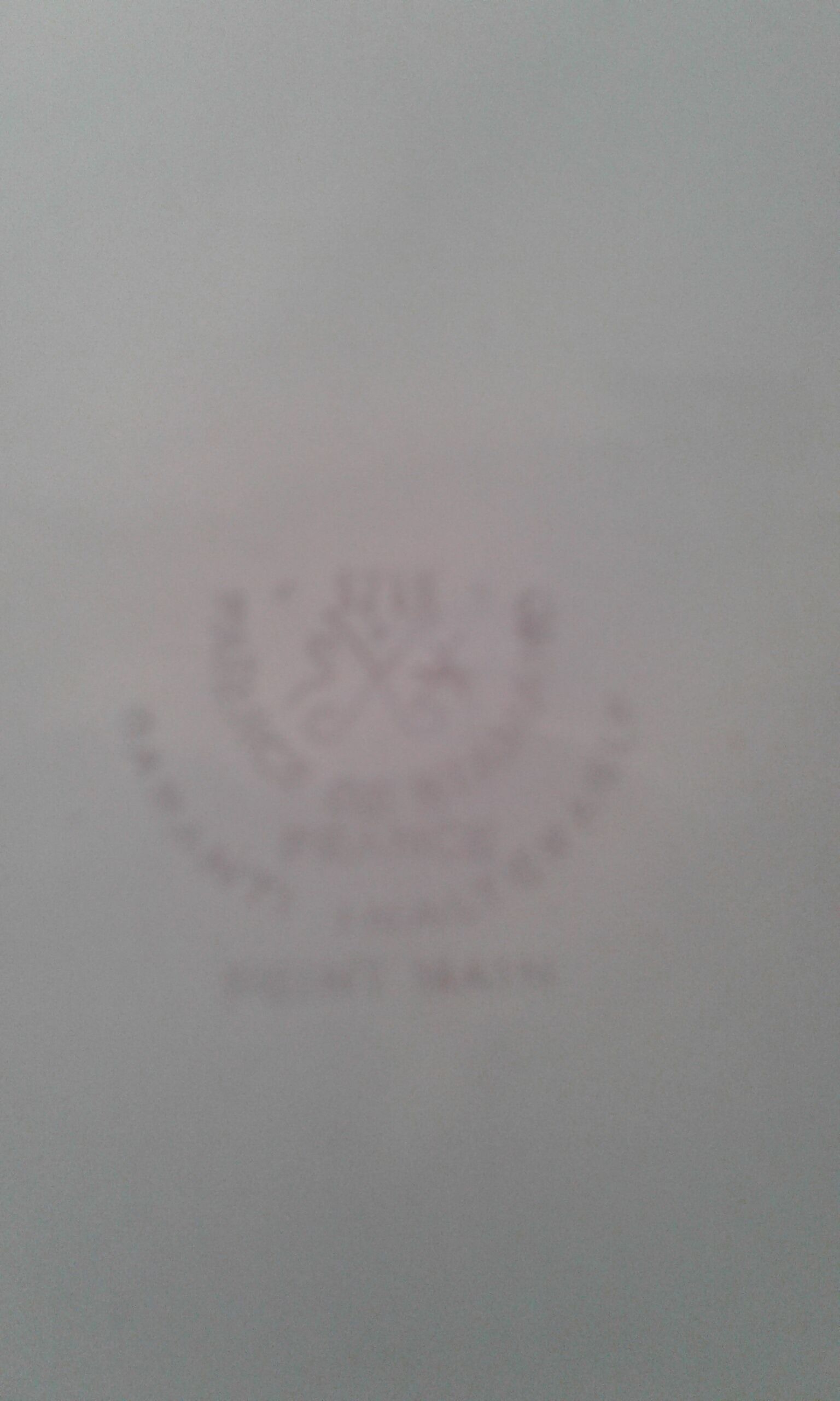 6 plates of oysters faience of Saint Amand