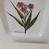 Trio of square Deruta plates signed MARI E.C., botanical decoration 962.21