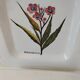 Set of three square plates from Deruta signed MARI E.C., botanical decoration 962.21