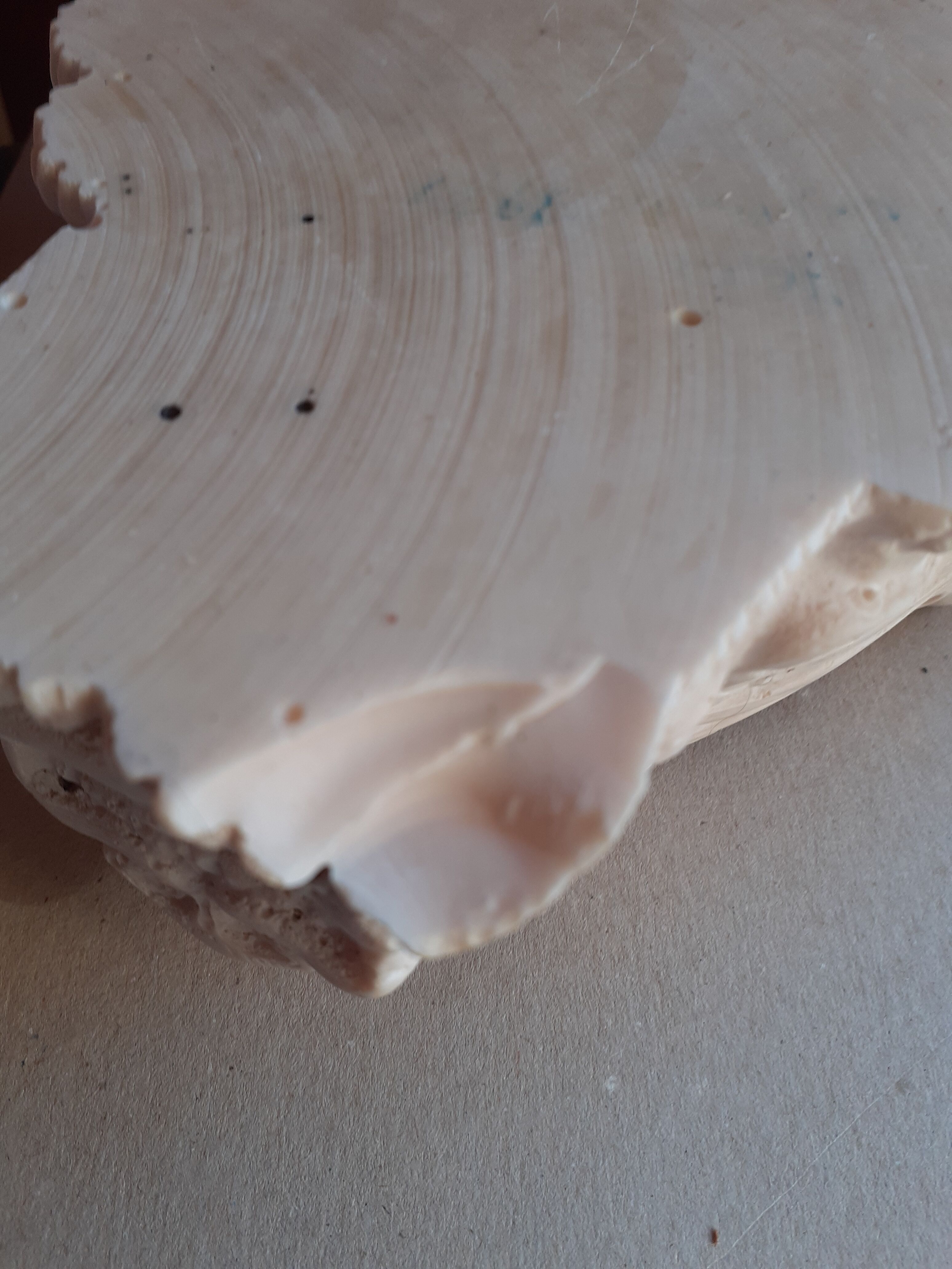 Plaster dragon ashtray