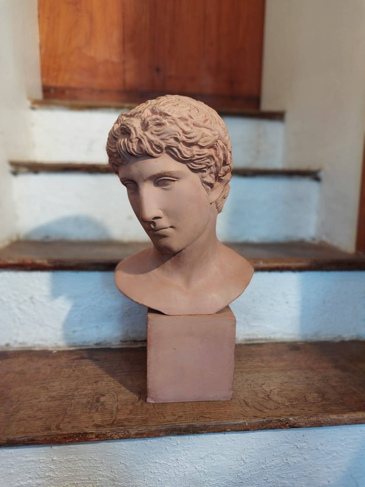 Antique terracotta bust