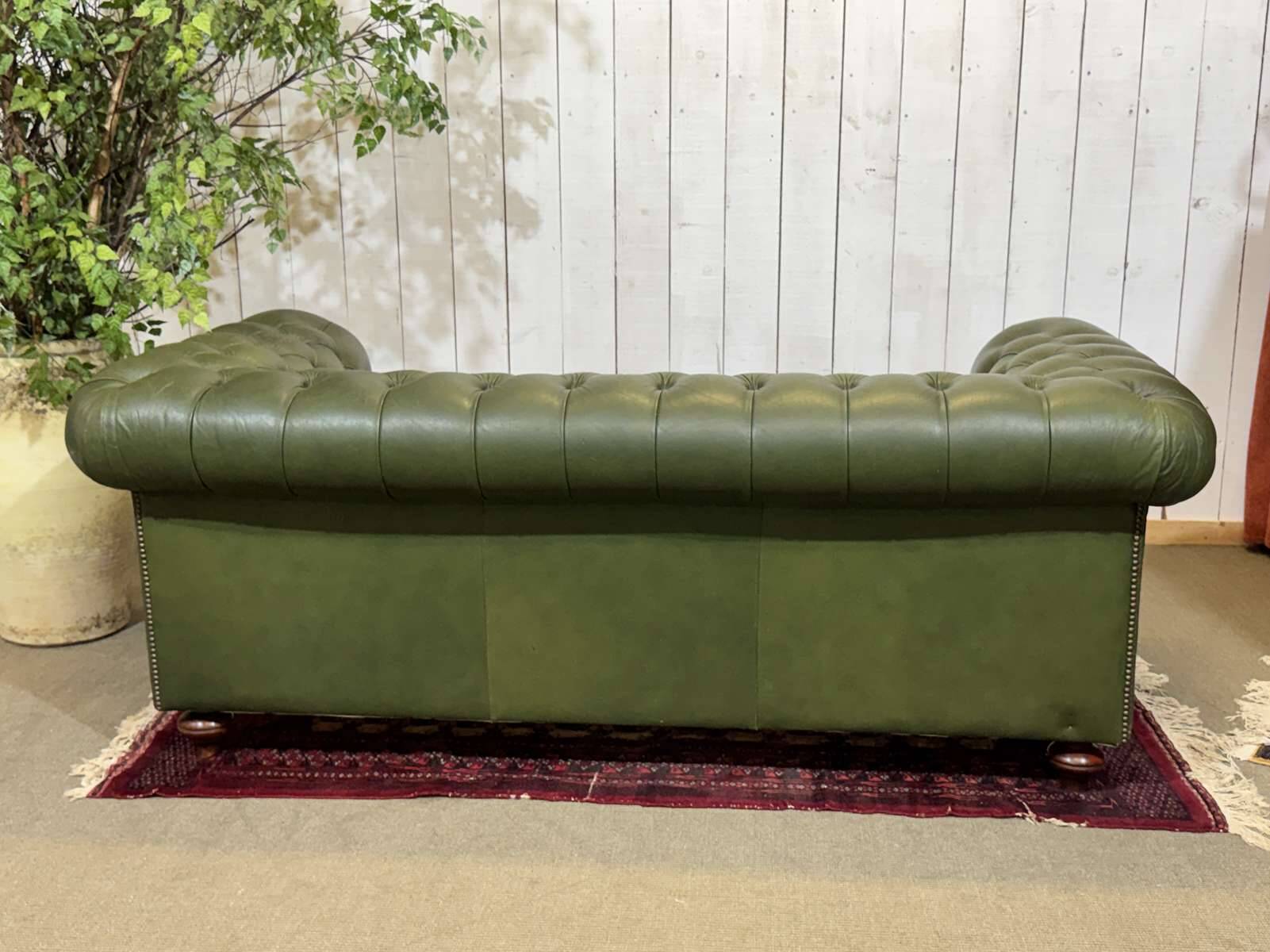 Chesterfield leather 3-seater sofa with mahogany legs - English craftsmanship