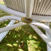 Rattan rocking chair