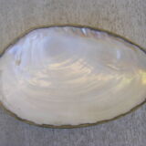 Caviar mother-of-pearl shell