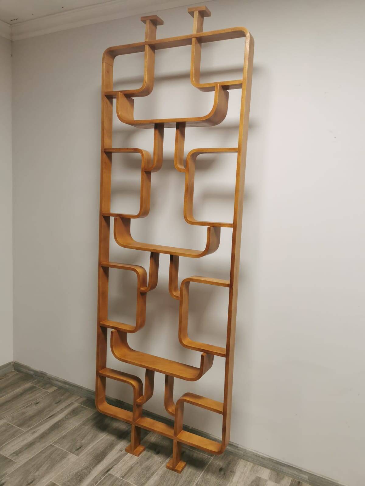 Room Dividers by Ludvik Volak for Drevopodnik Holesov, 1950s, Set of 2