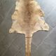 Kangaroo skin Curiosity cabinet