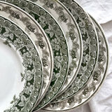 6 mismatched ironstone flat plates Murier Violetta