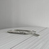 Foie gras set in shiny silver metal