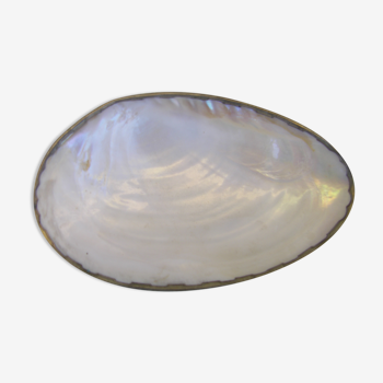 Caviar mother-of-pearl shell