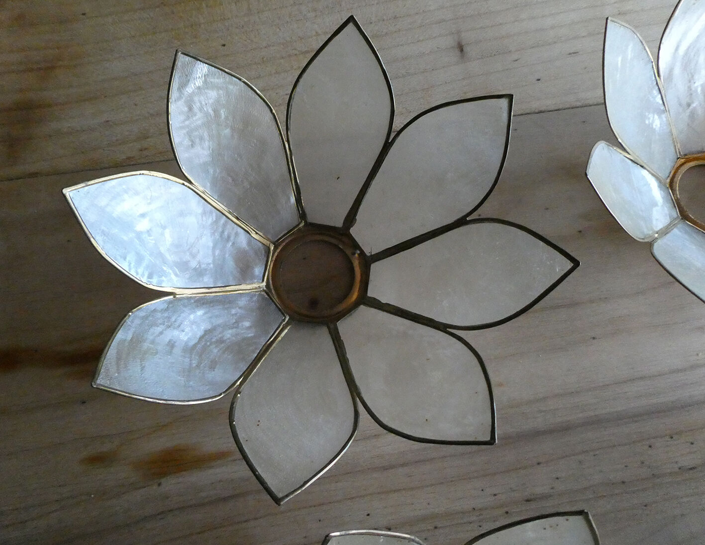 Brass chandelier and flowers in mother-of-pearl petals