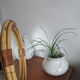 Vintage rattan round mirror 38cm