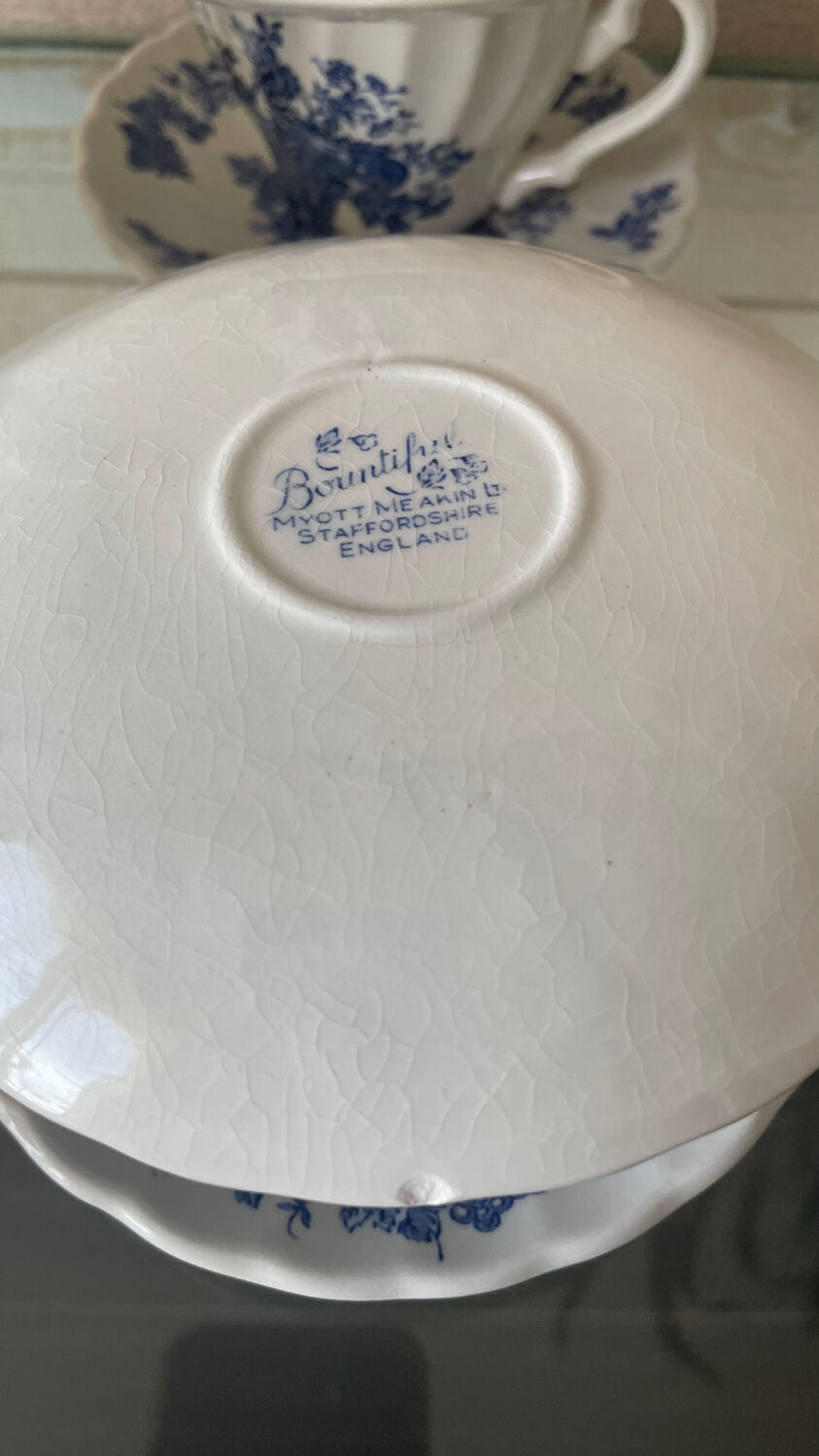 Vintage blue tea/coffee service Bountiful Design by Myott