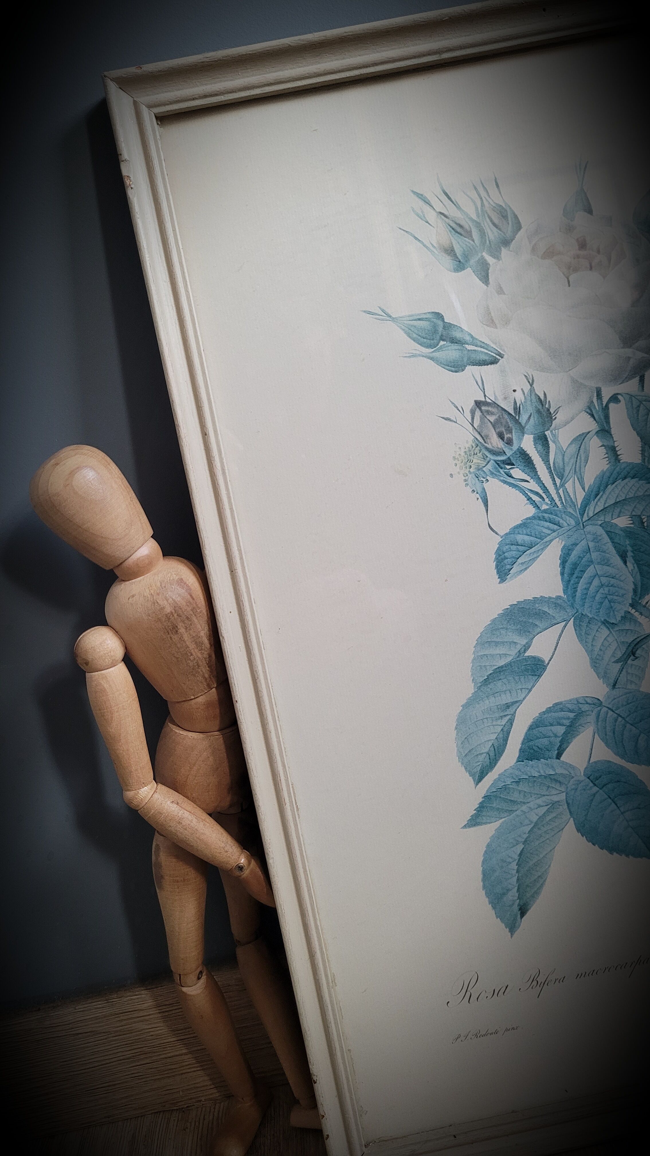 Litho rose Four seasons Lelieux