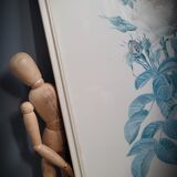 Litho rose Four seasons Lelieux