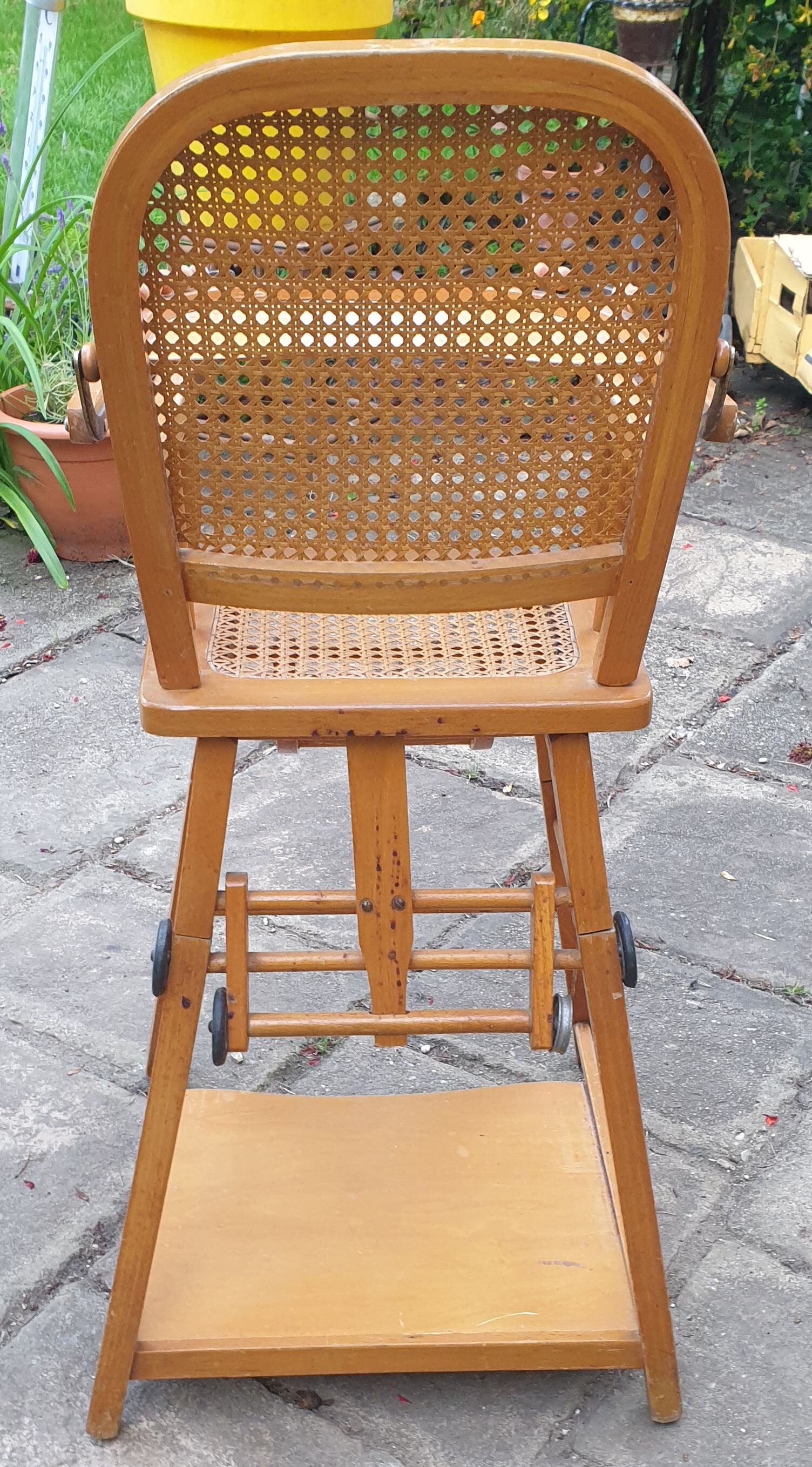 High canine chair convertible into wood