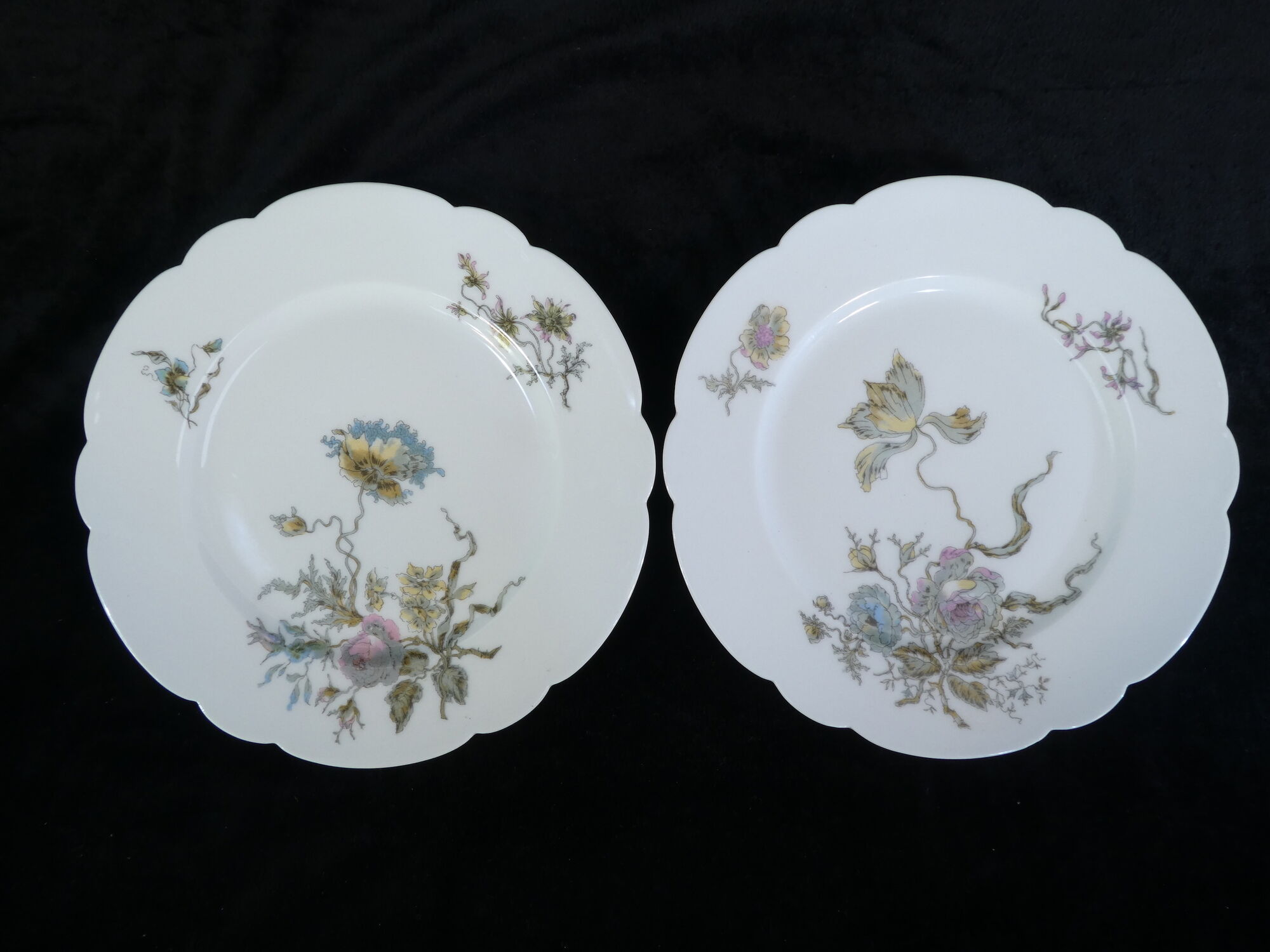 12 Limoges porcelain dinner plates for E.Bourgeois Paris