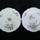 12 Limoges porcelain dinner plates for E.Bourgeois Paris