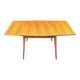 Table extensible
