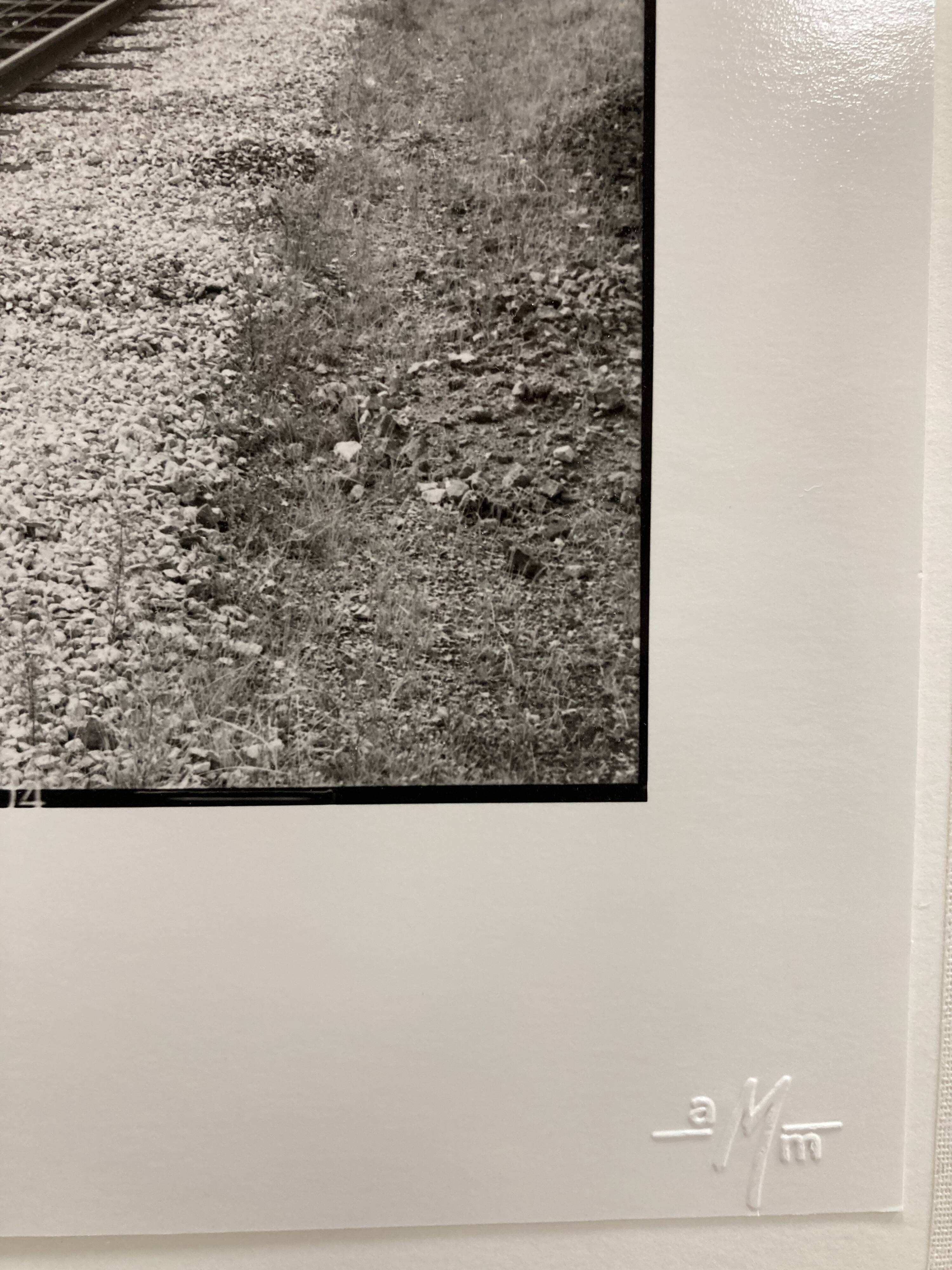 Photographie argentique d'artiste
