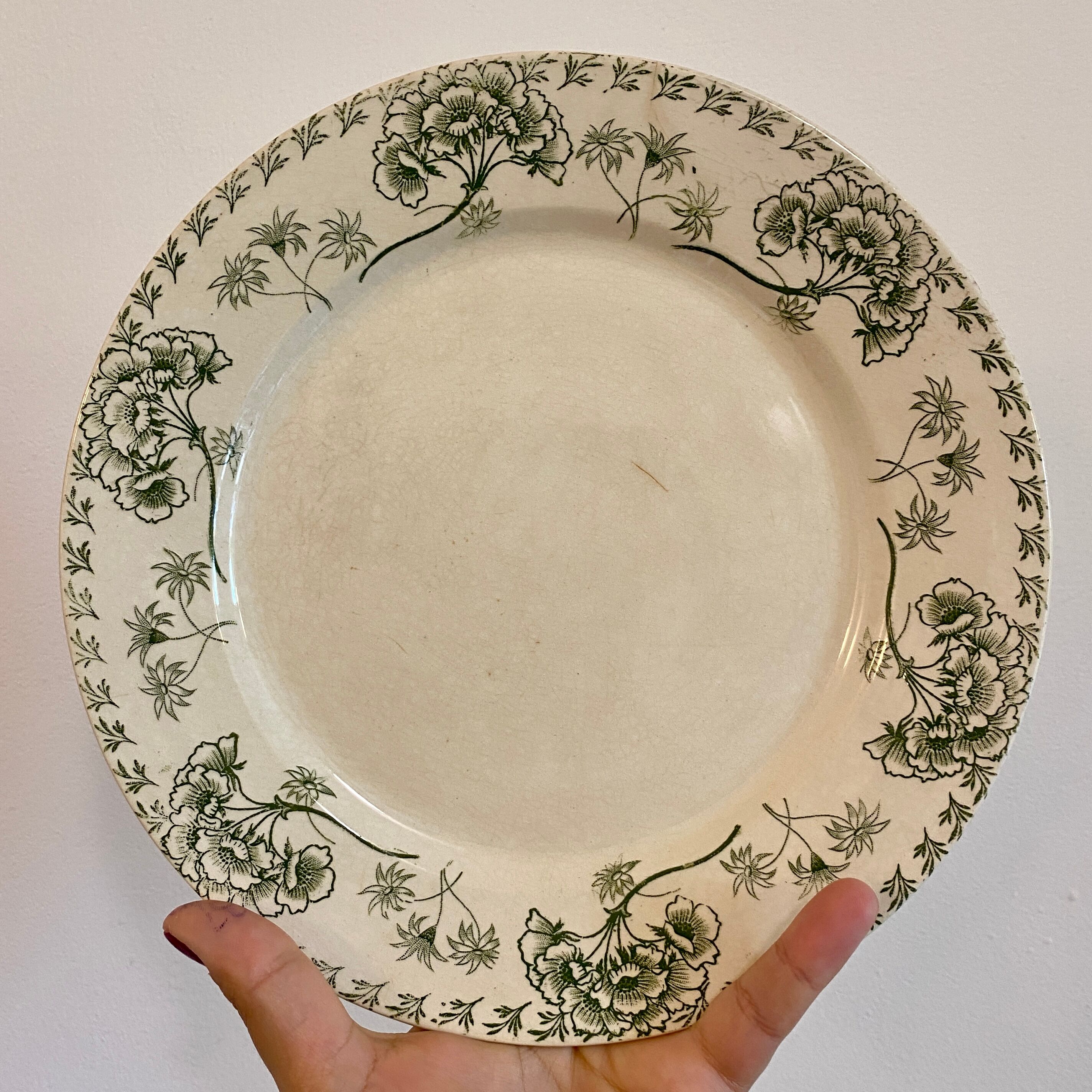 Set of 8 vintage plates in palmyre de sarreguemines iron earth (lot 3)