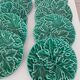 Set of 12 Green Majolica Leaf Plates Sarreguemines Digoin 1930