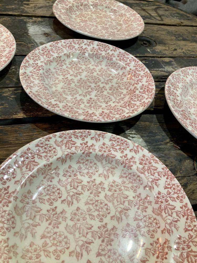 Lot of 5 plates Red Gien