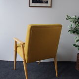 Fauteuil du milieu du siècle, 1960