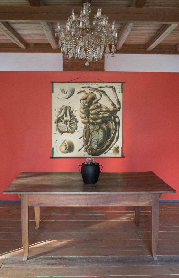 20th century poster Paul Pfurtscheller Zoological "spider" 1910