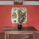 20th century poster Paul Pfurtscheller Zoological "spider" 1910