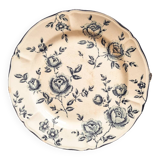 Duo of flat earthenware plates