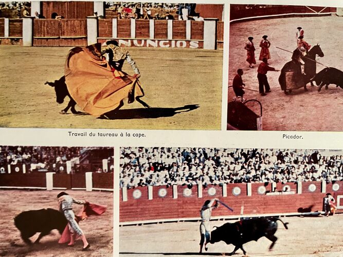 Planche photographique sur les courses de taureaux, années 1940-50