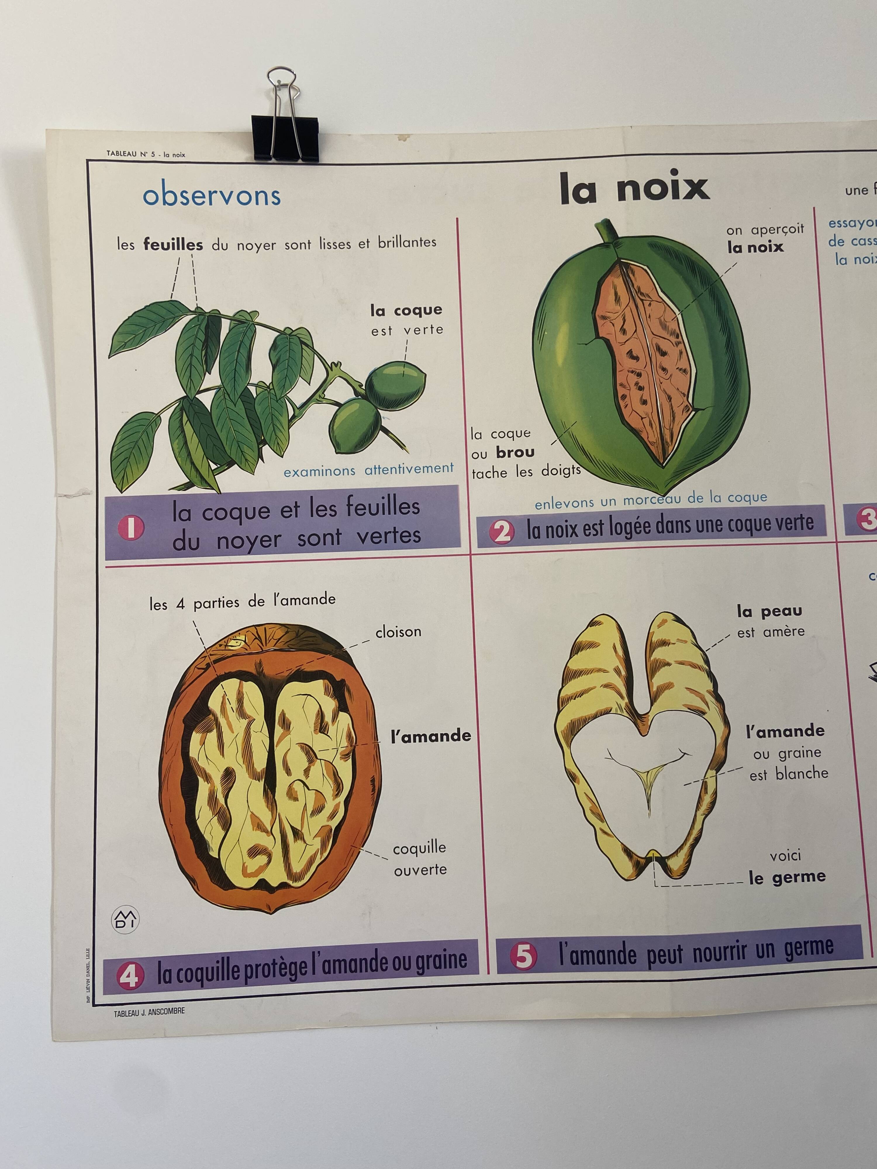 Vintage educational poster