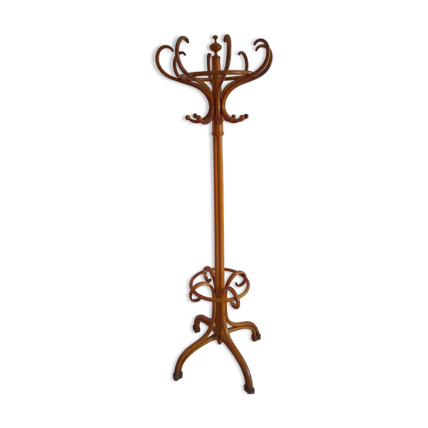 Coat rack called parrot