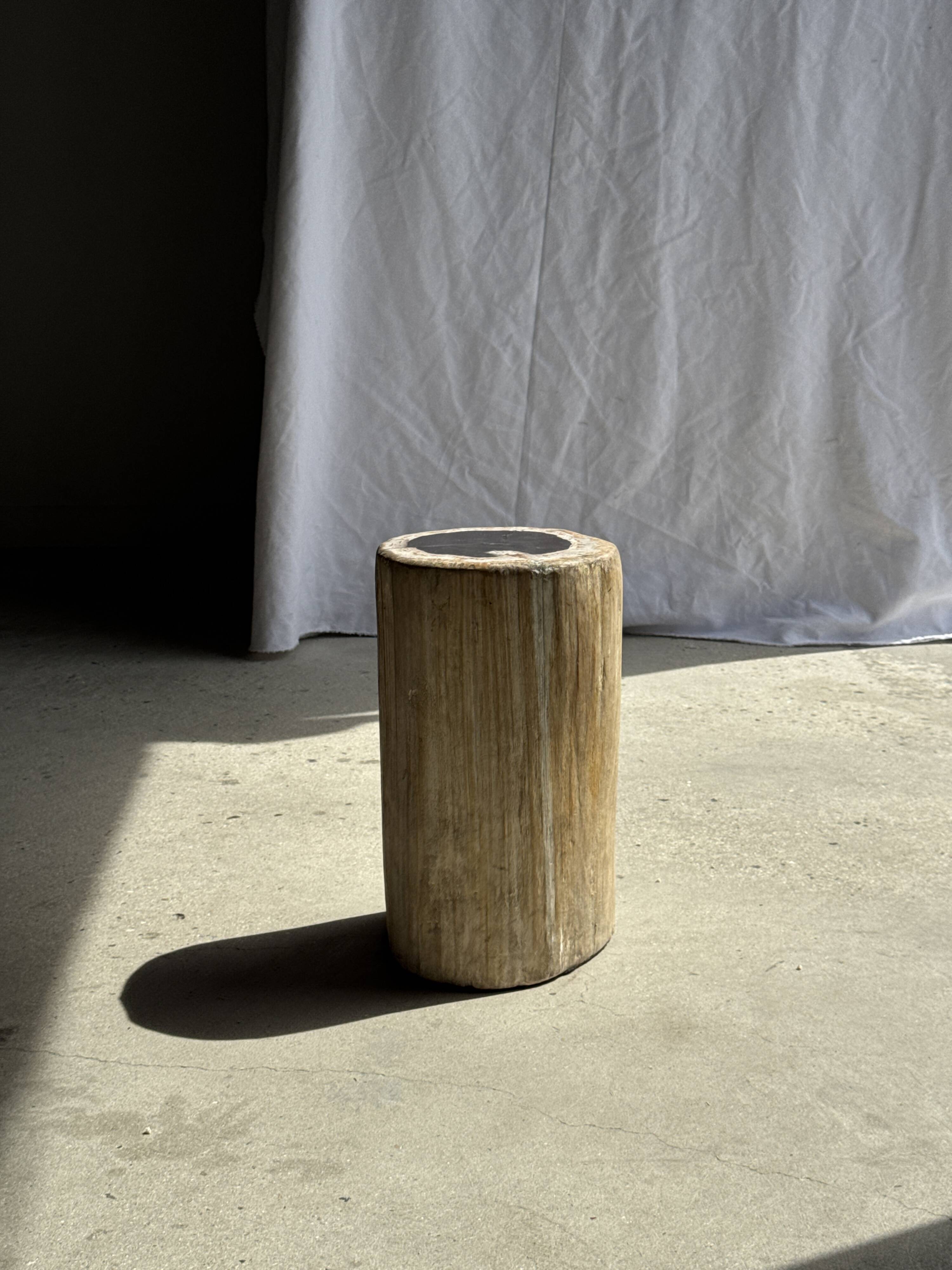 Table d'appoint en bois pétrifié, écorce blanche
