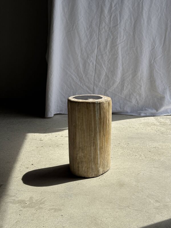 Table d'appoint en bois pétrifié, écorce blanche