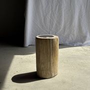 Petrified wood side table, white bark