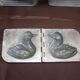 Set of 32 aluminum duck shaped pastry molds