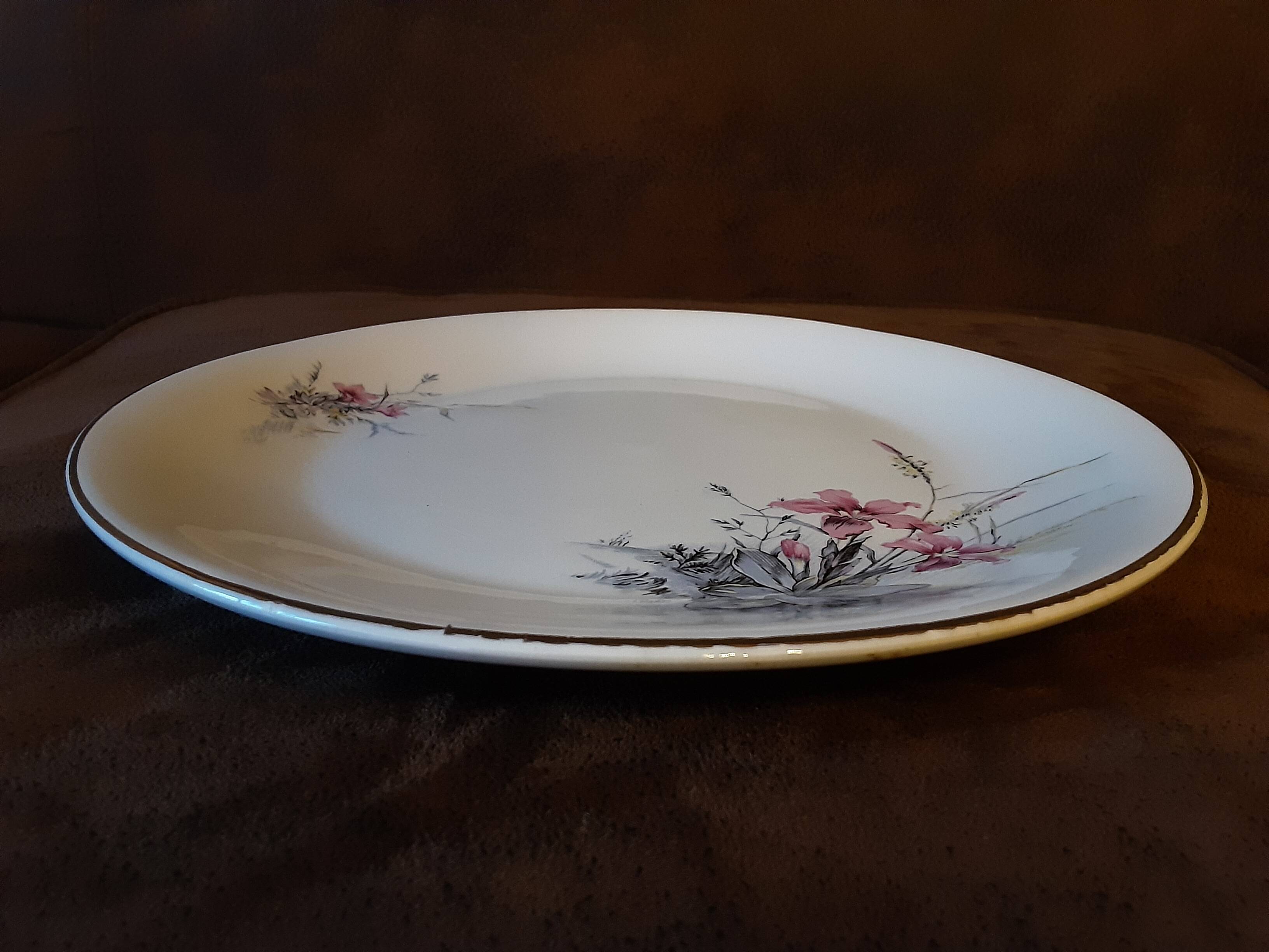 Set of 9 Digoin Sarreguemines dinner plates