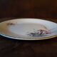 Lot de 9 assiettes  plates  Digoin sarreguemines