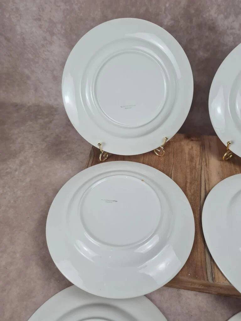 Set of 6 semi-deep plates Sarreguemines