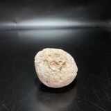 Fossil sea sponge