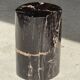 Small side table in black petrified wood with stripes and beige bottom H28.