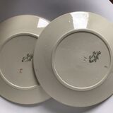 2 Flat Plates Iron Earth Badonviller khaki clover