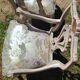Venetian chairs XIV
