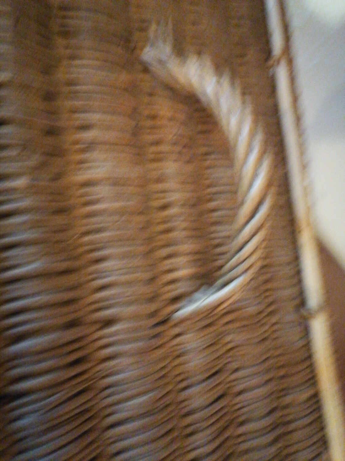 Small wicker suitcase basket 1900
