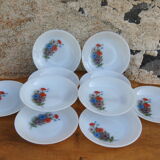 Set of 10 plates flowers of the fields - Arcopal - 70s - Vintage authentic