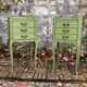Pair of khaki bedside tables in Louis XV style