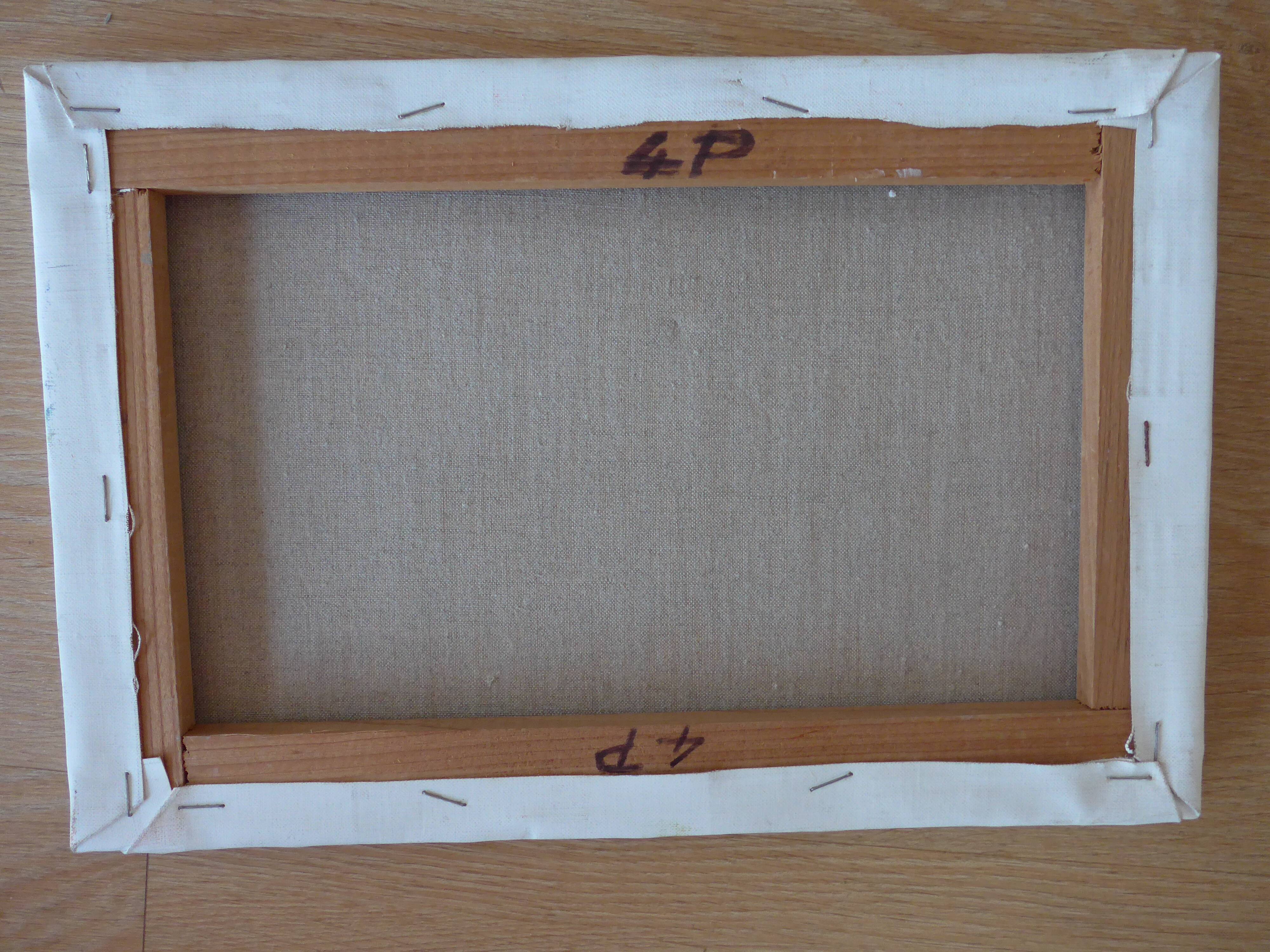 Unsigned landscape canvas